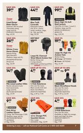 Princess Auto flyer week 44 Page 13