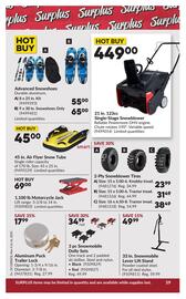 Princess Auto flyer week 44 Page 65