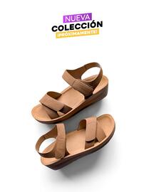 Catálogo Evacol semana 44 Página 2