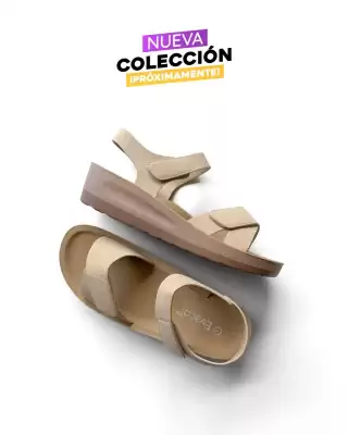 Catálogo Evacol (válido hasta 5-11)