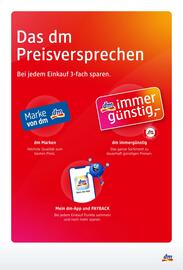 Dm Flugblatt Seite 12