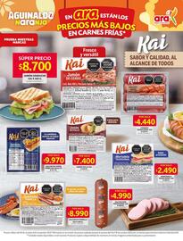 Catálogo Ara semana 44 Página 4