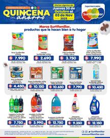 Catálogo Surtifamiliar Página 2