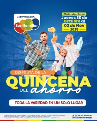 Catálogo Surtifamiliar (válido hasta 3-11)