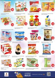 Nesto catalogue Page 13