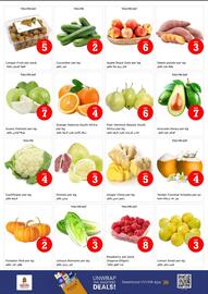 Nesto catalogue Page 2