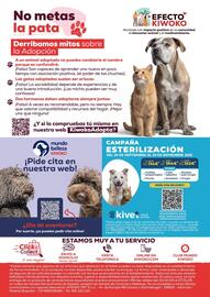 Folleto Kiwoko Página 20