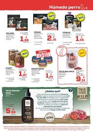 Folleto Kiwoko Página 5