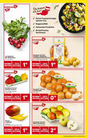 Billa Flugblatt woche 44 Seite 13