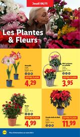 Catalogue Lidl semaine 45 page 38