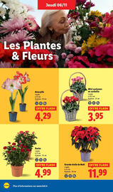 Catalogue Lidl semaine 45 page 38