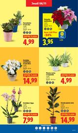 Catalogue Lidl semaine 45 page 39
