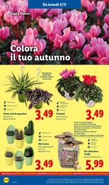 Volantino Lidl settimana 45 Pagina 42