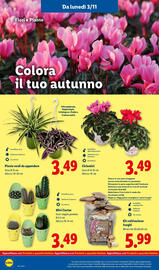 Volantino Lidl settimana 45 Pagina 42