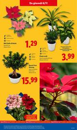 Volantino Lidl settimana 45 Pagina 43