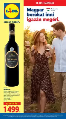 Lidl akciós újság (érvényes eddig: 31-12)