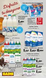 Folleto Gadis semana 44 Página 14