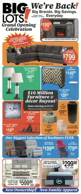Big Lots weekly ad (valid until 8-11)