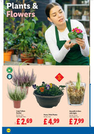Lidl leaflet week 45 Page 28