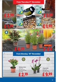 Lidl leaflet week 45 Page 29
