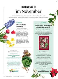 Billa Flugblatt Seite 10