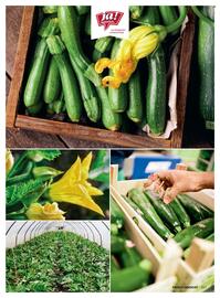 Billa Flugblatt Seite 113