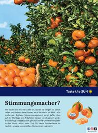 Billa Flugblatt Seite 117