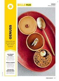 Billa Flugblatt Seite 119