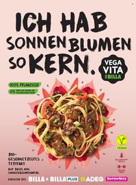 Billa Flugblatt Seite 120