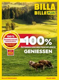 Billa Flugblatt Seite 126