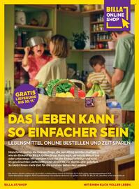 Billa Flugblatt Seite 176