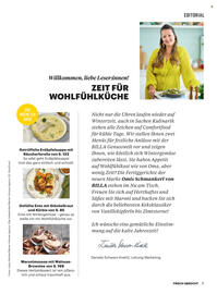 Billa Flugblatt Seite 177