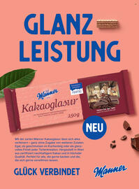 Billa Flugblatt Seite 36