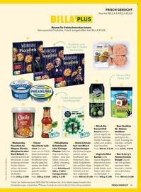 Billa Flugblatt Seite 7