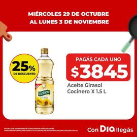 Folleto Supermercados DIA Página 10