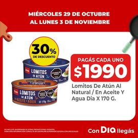 Folleto Supermercados DIA Página 14