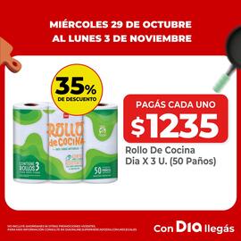 Folleto Supermercados DIA Página 9