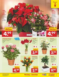 Netto Marken-Discount Prospekt woche 45 Seite 7