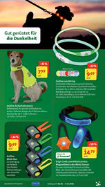 Fressnapf Prospekt woche 44 Seite 17