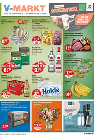V Markt Prospekt woche 45 Seite 1