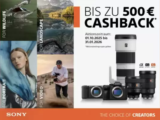 Hartlauer Flugblatt (gültig bis 31-01)