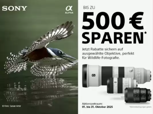 Hartlauer Flugblatt (gültig bis 31-10)