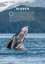 Folheto Abreu Página 8