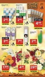 Delikatesy Centrum gazetka tydzień 44 Strona 39