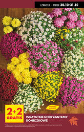 Biedronka gazetka Strona 3