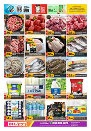 Bigmart leaflet Page 11