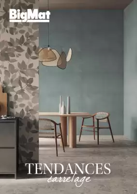 Catalogue BigMat (valable jusqu'au 31-12)