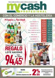 Folleto mycash profesional Página 1