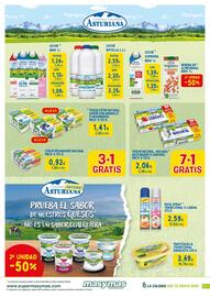 Folleto Masymas Página 17