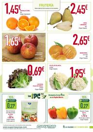 Folleto Masymas Página 5